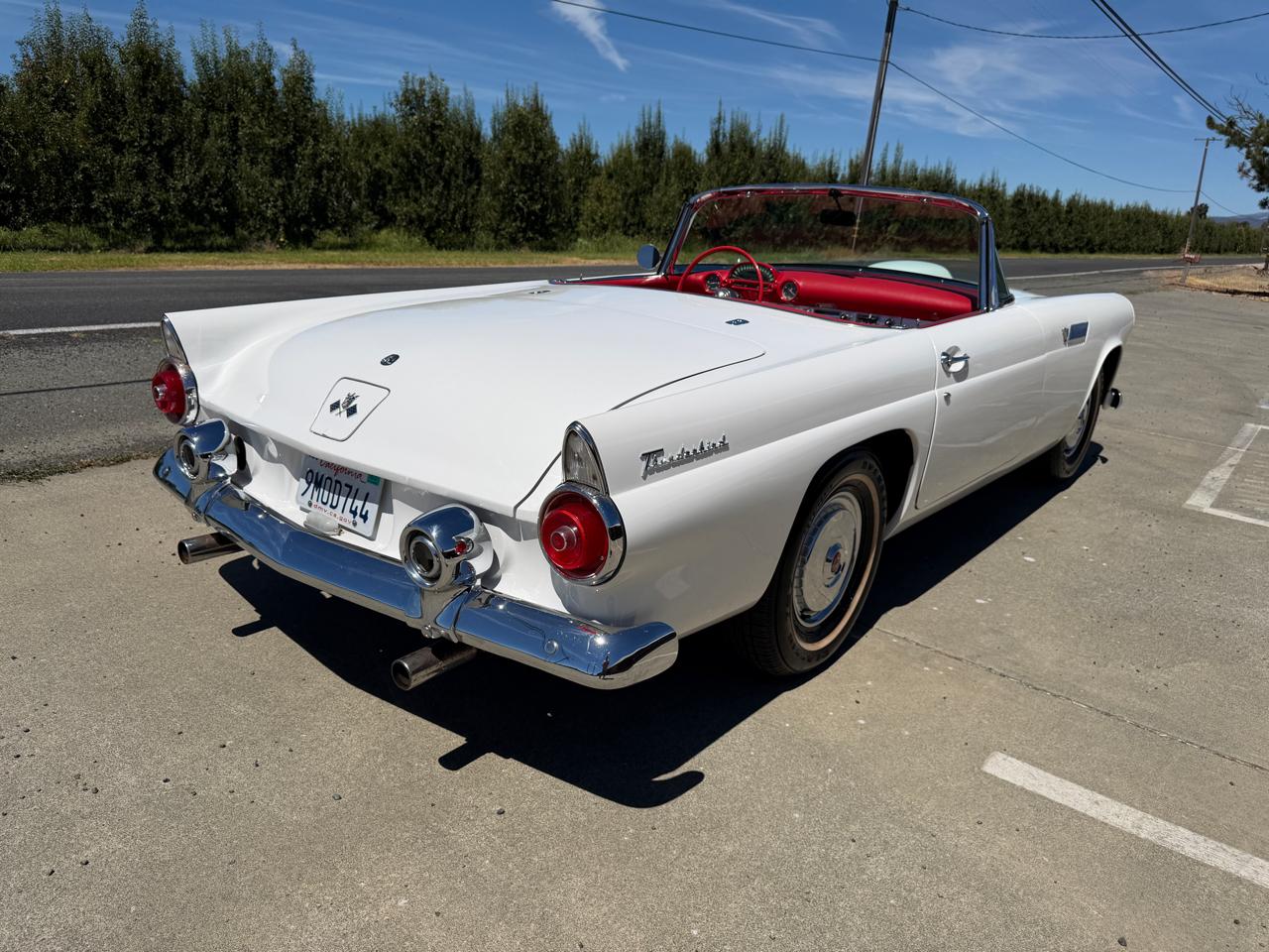 Ford Thunderbird  1955