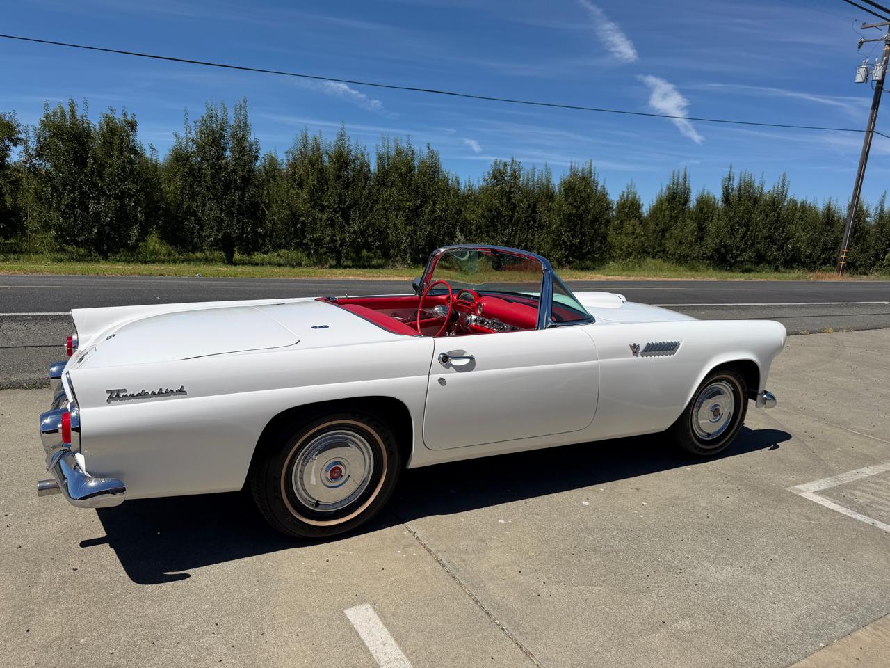 Ford Thunderbird  1955