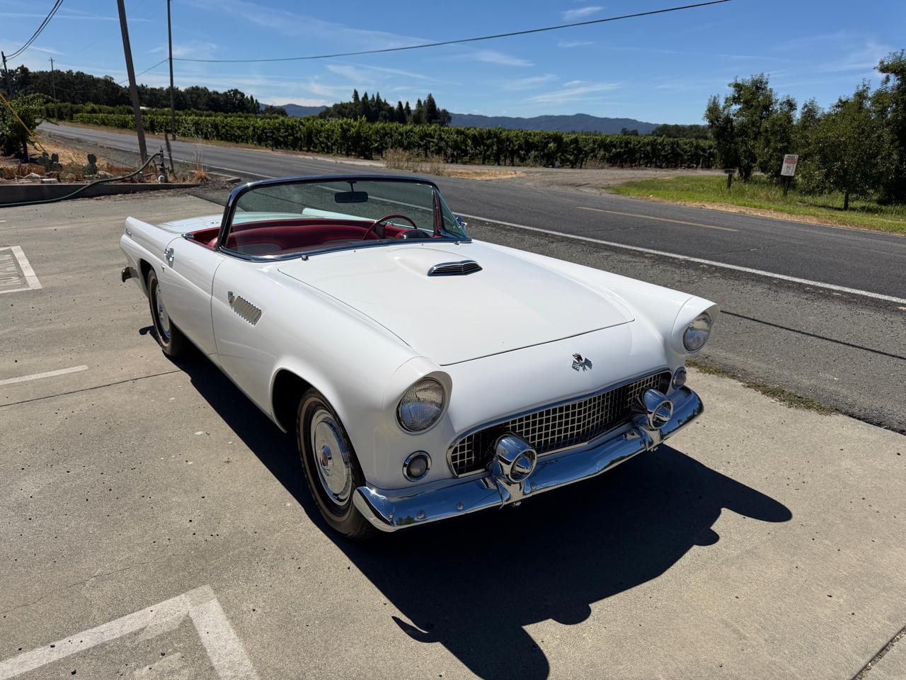 Ford Thunderbird  1955