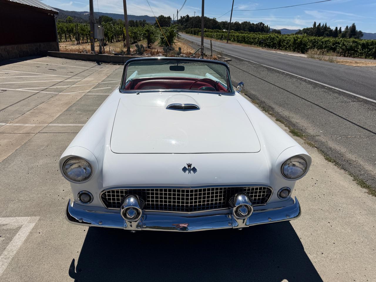 Ford Thunderbird  1955