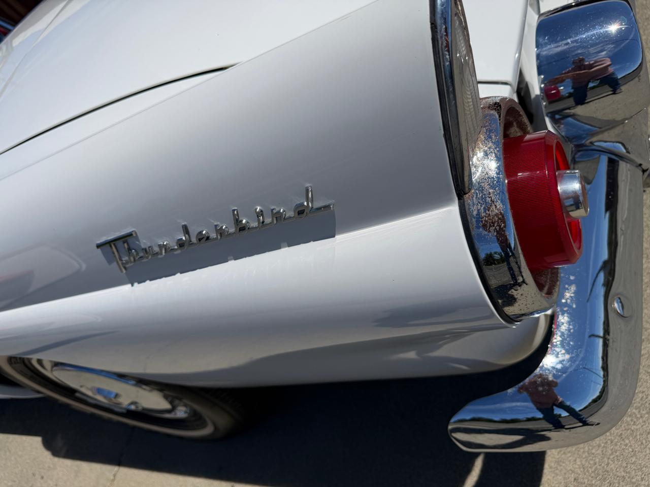 Ford Thunderbird  1955