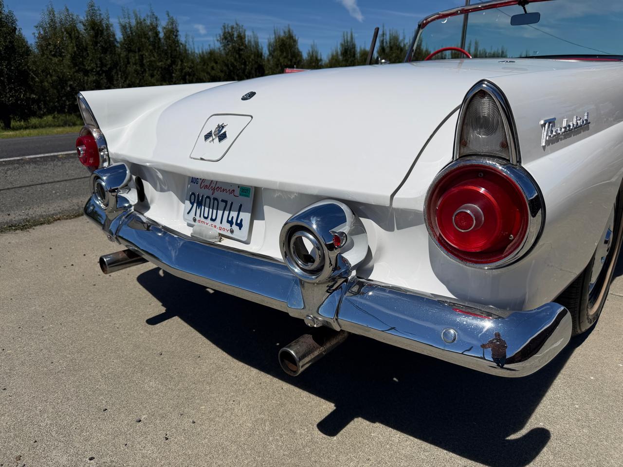 Ford Thunderbird  1955