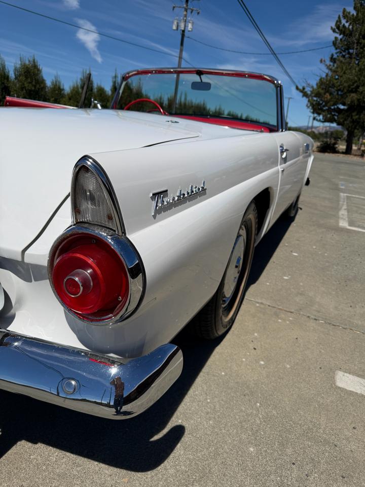 Ford Thunderbird  1955