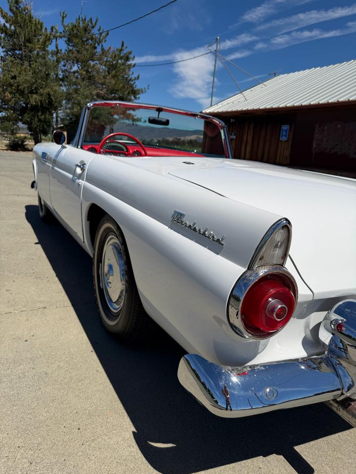 Ford Thunderbird  1955