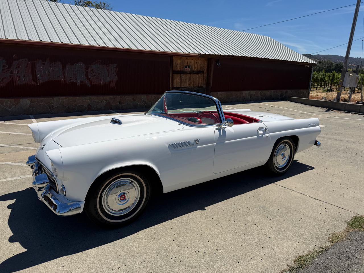 Ford Thunderbird  1955