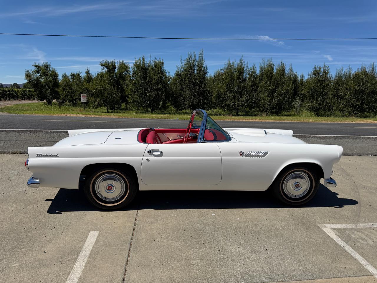 Ford Thunderbird  1955