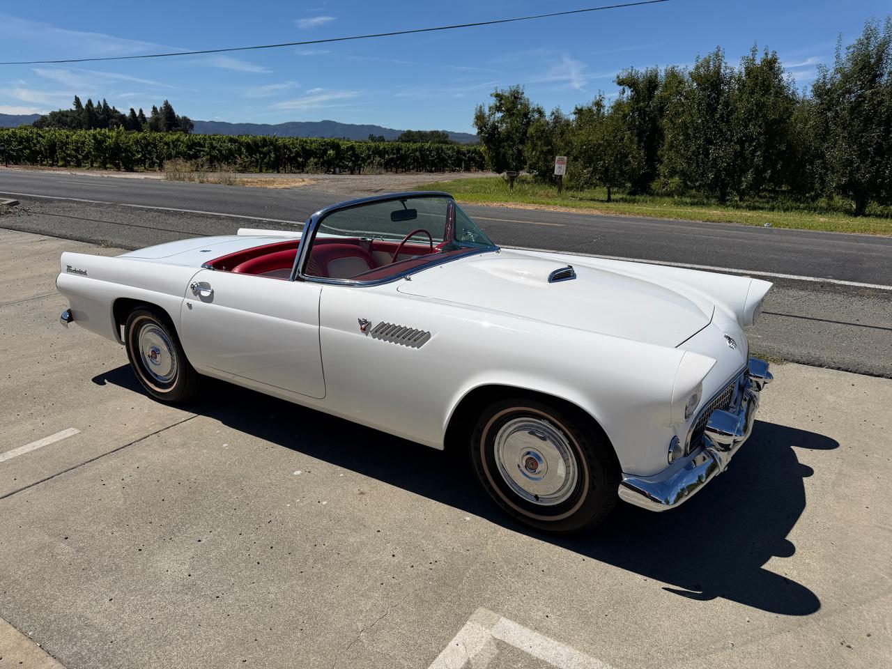 Ford Thunderbird  1955