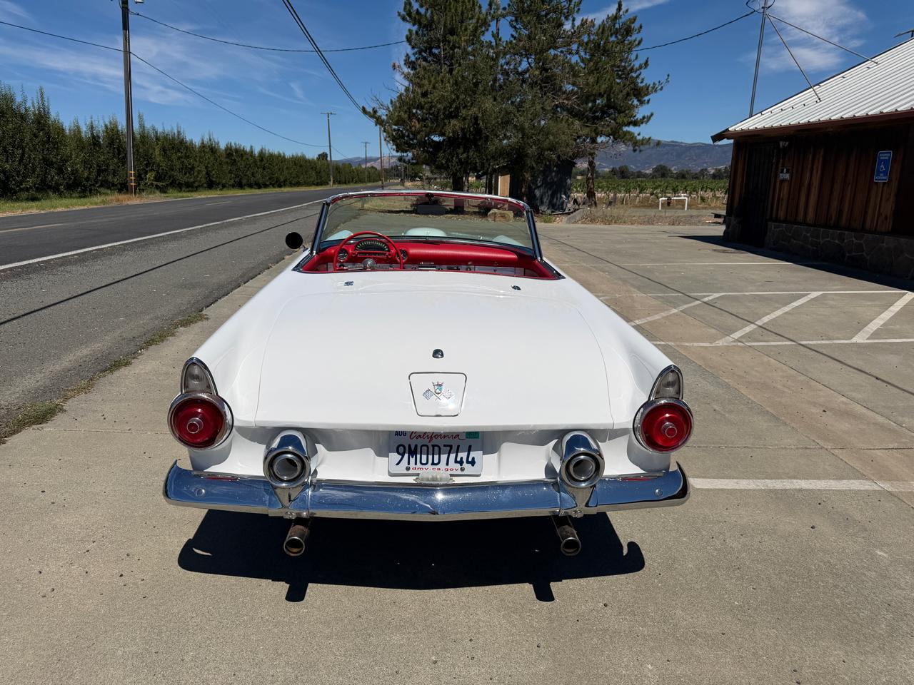 Ford Thunderbird  1955
