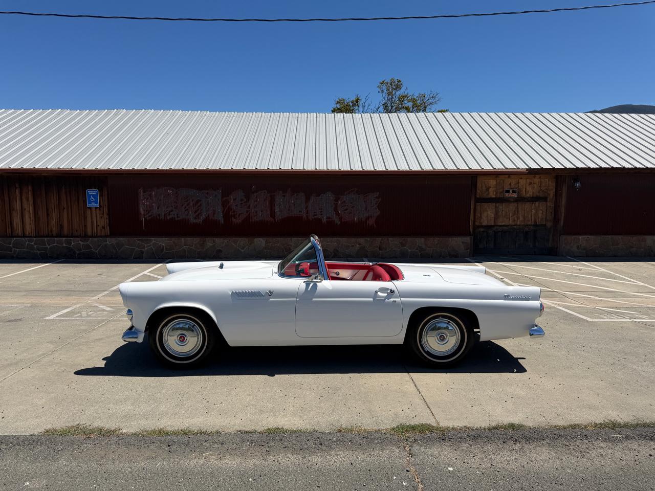 Ford Thunderbird  1955