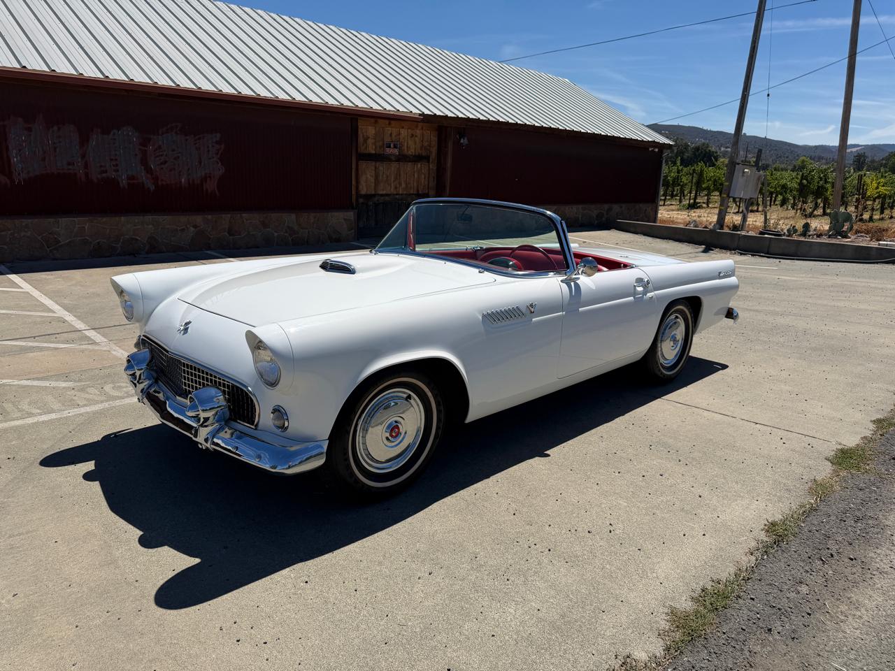Ford Thunderbird  1955