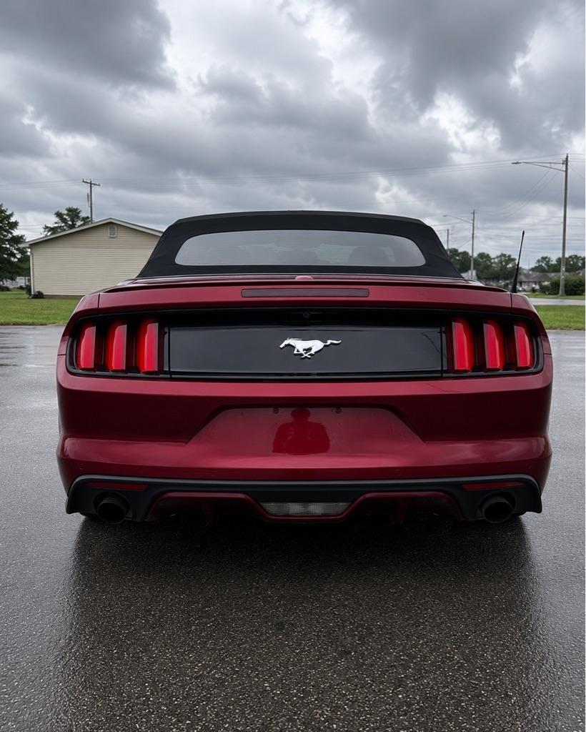 Ford Mustang EcoBoost Premium Convertible 2015