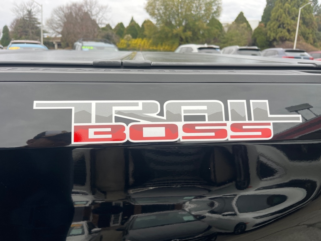 Chevrolet Silverado 1500 4WD Crew Cab 147" LT Trail Boss 2019