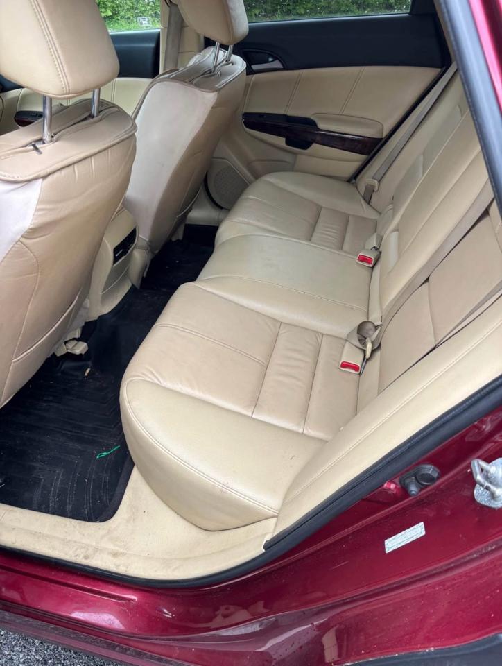 Honda Accord Crosstour EX-L 4WD 5-Spd AT 2010