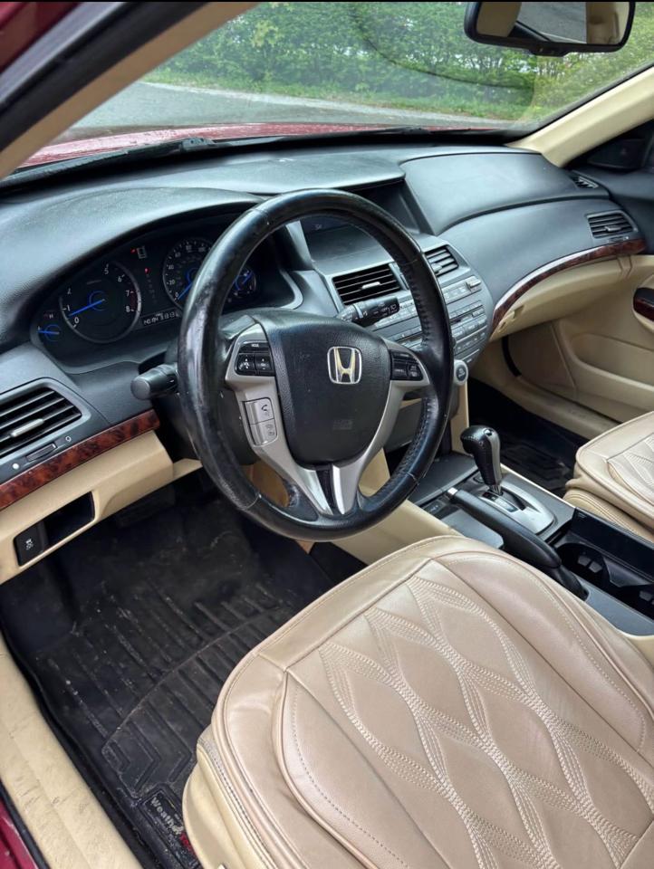 Honda Accord Crosstour EX-L 4WD 5-Spd AT 2010