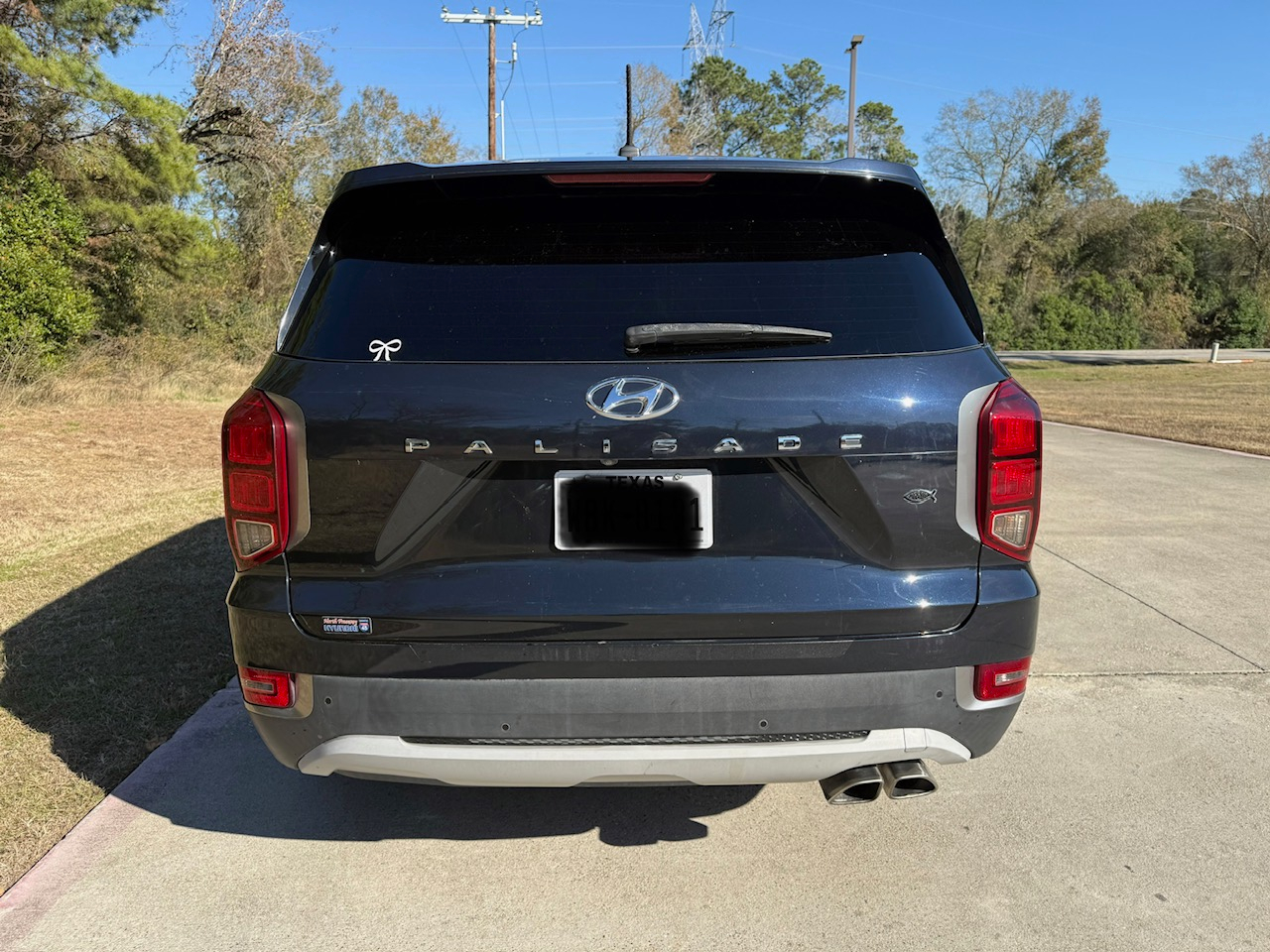 Hyundai Palisade SEL 2021