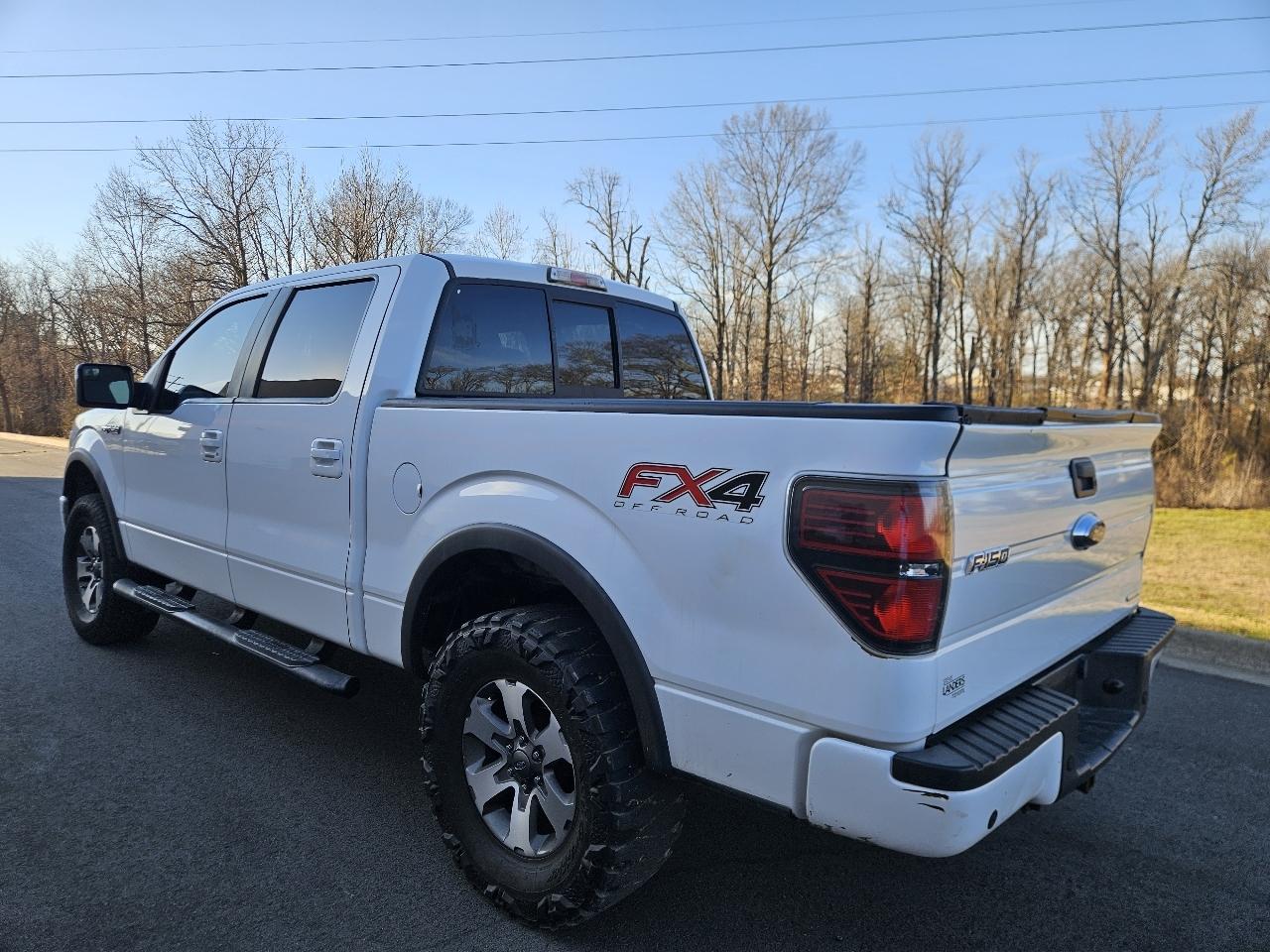 Ford F-150 4WD SuperCrew 145" Platinum 2014