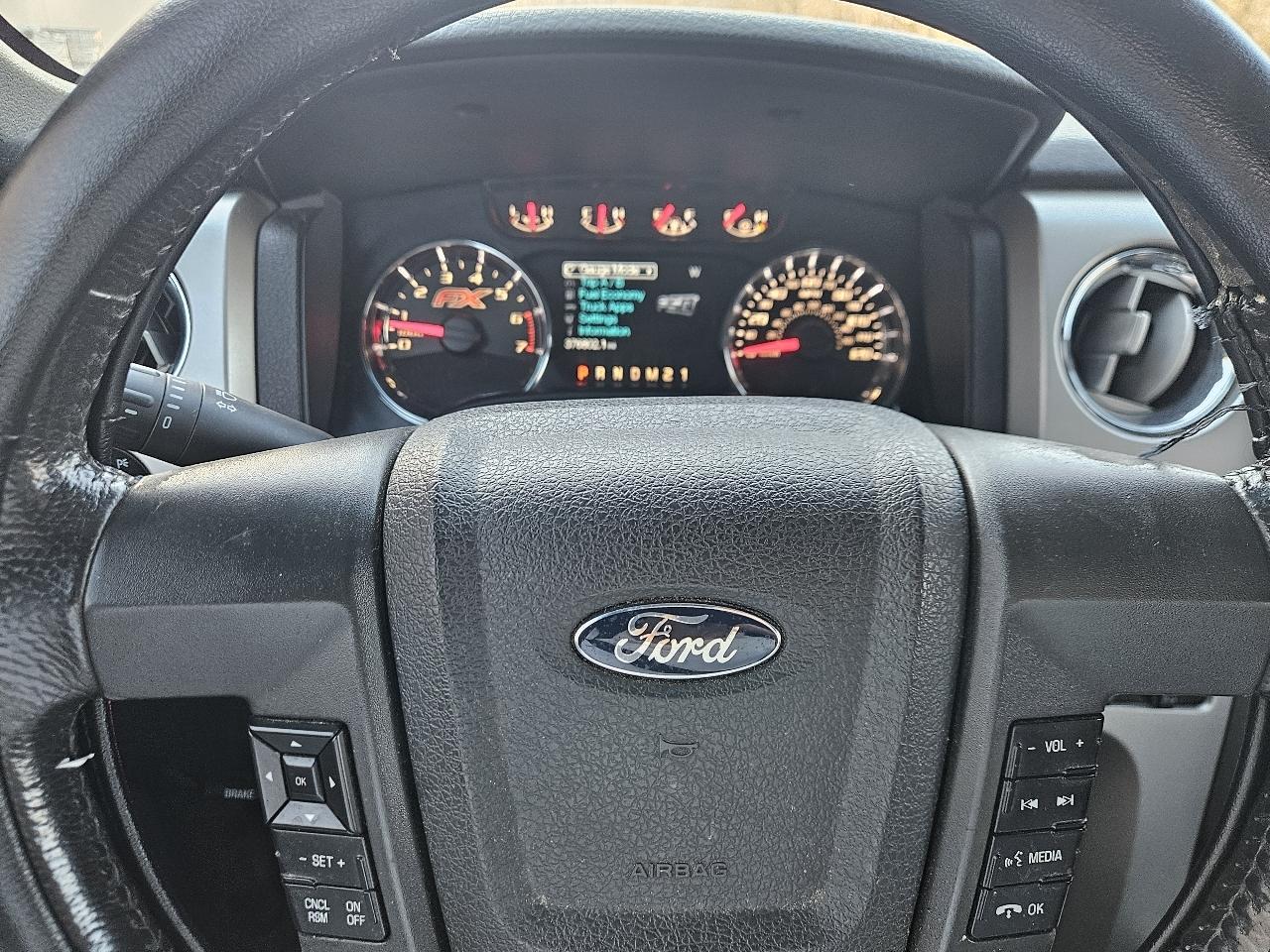 Ford F-150 4WD SuperCrew 145" Platinum 2014