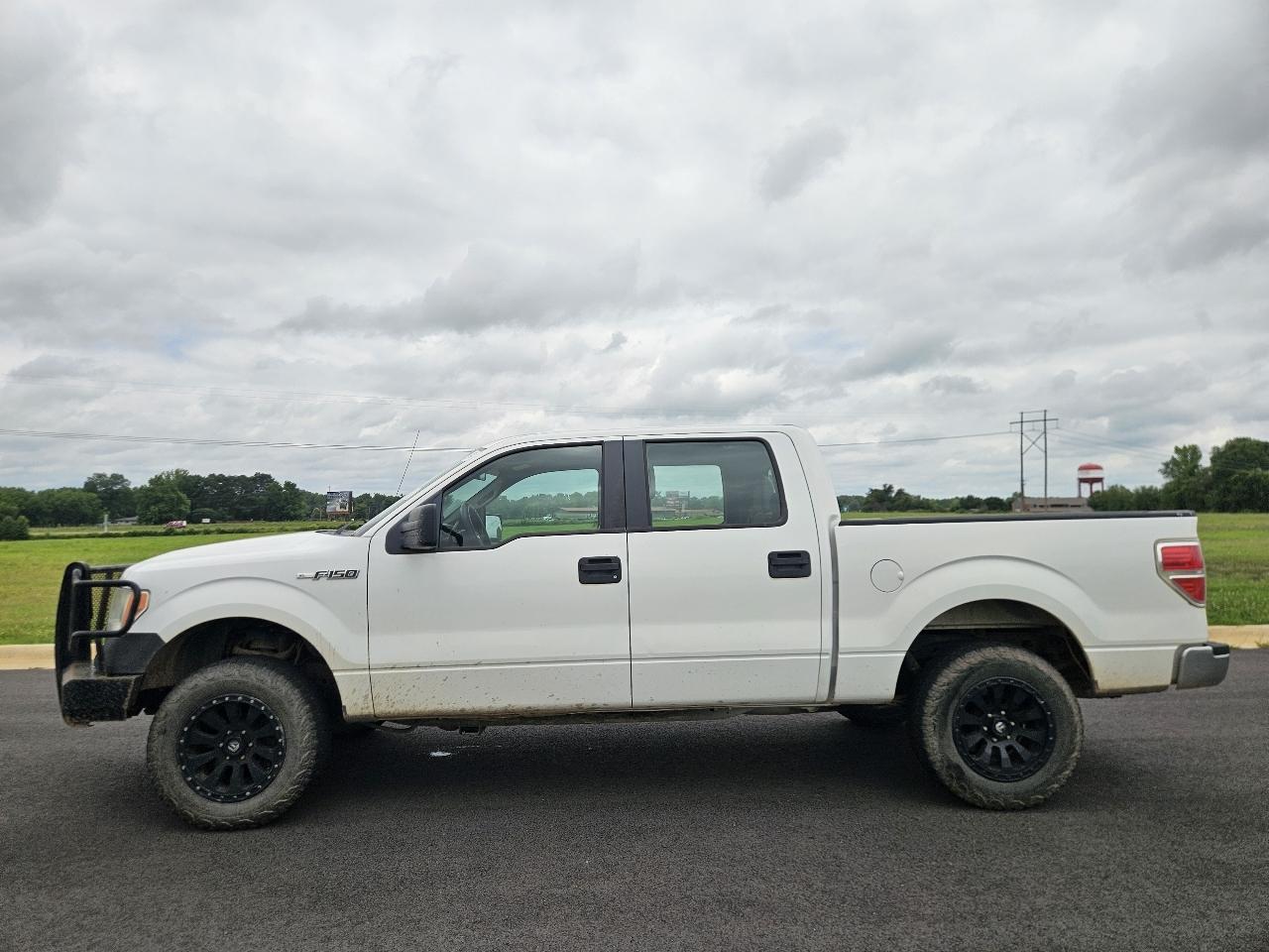 Ford F-150 4WD SuperCrew 145" Platinum 2014