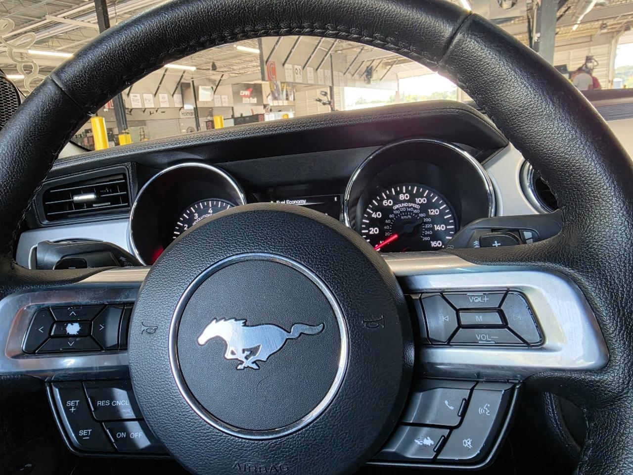 Ford Mustang 2dr Conv EcoBoost Premium 2015