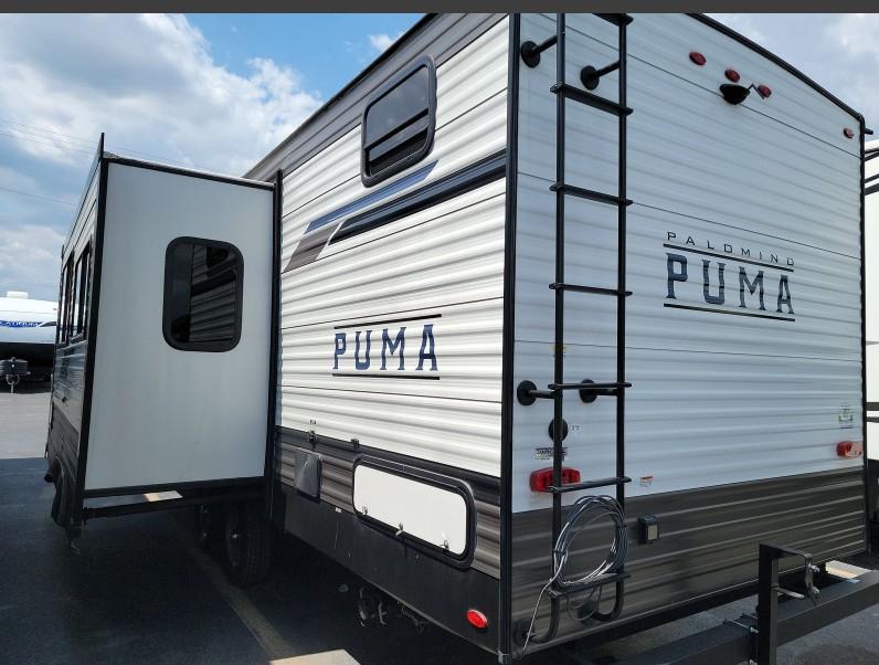 Palomino Puma  2024