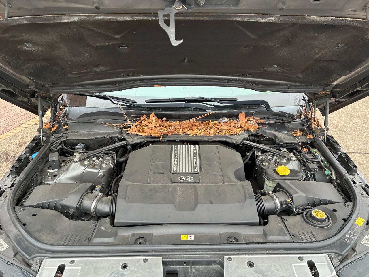 Land Rover Range Rover Supercharged 2015