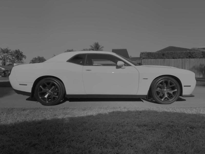 Dodge Challenger R/T Plus 2019