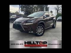 2019 Lexus NX 300 