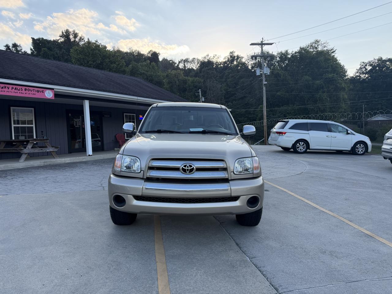 Toyota Tundra SR5 Access Cab 2WD 2006