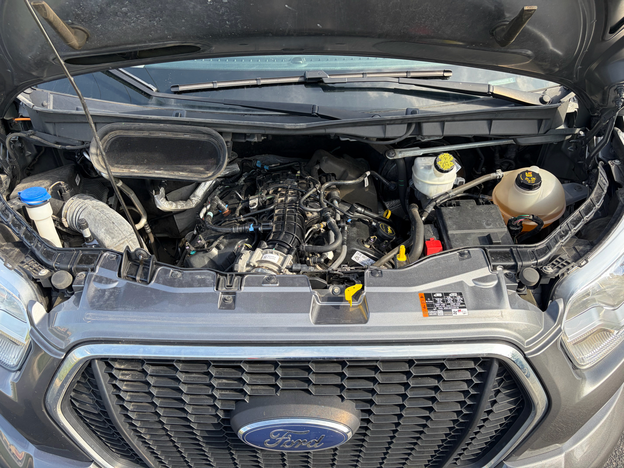 Ford Transit Passenger Wagon T-350 148" Low Roof XLT RWD 2021