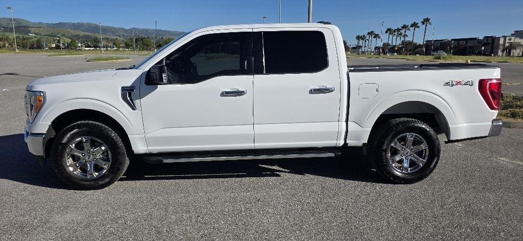 Ford F-150 XLT SuperCrew 5.5-ft. Bed 4WD 2023