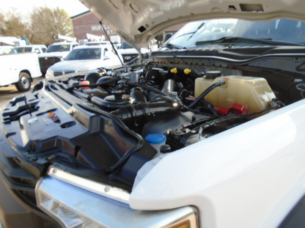 Ford F-450 SD Crew Cab DRW 2WD 2019