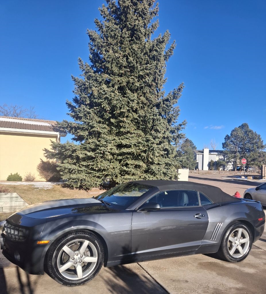 Chevrolet Camaro Convertible 2LT 2013