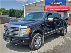 2010 Ford F-150 