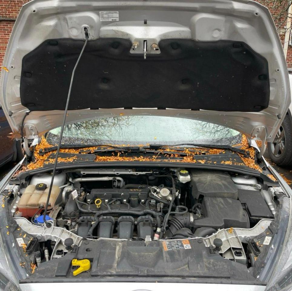 Ford Focus SEL Sedan 2018
