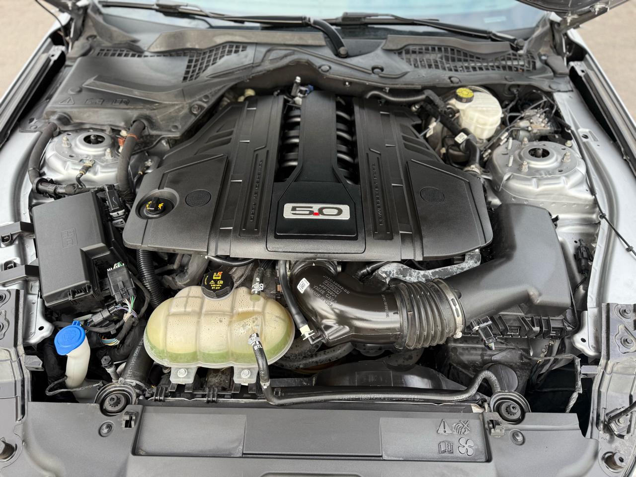 Ford Mustang GT Fastback 2021