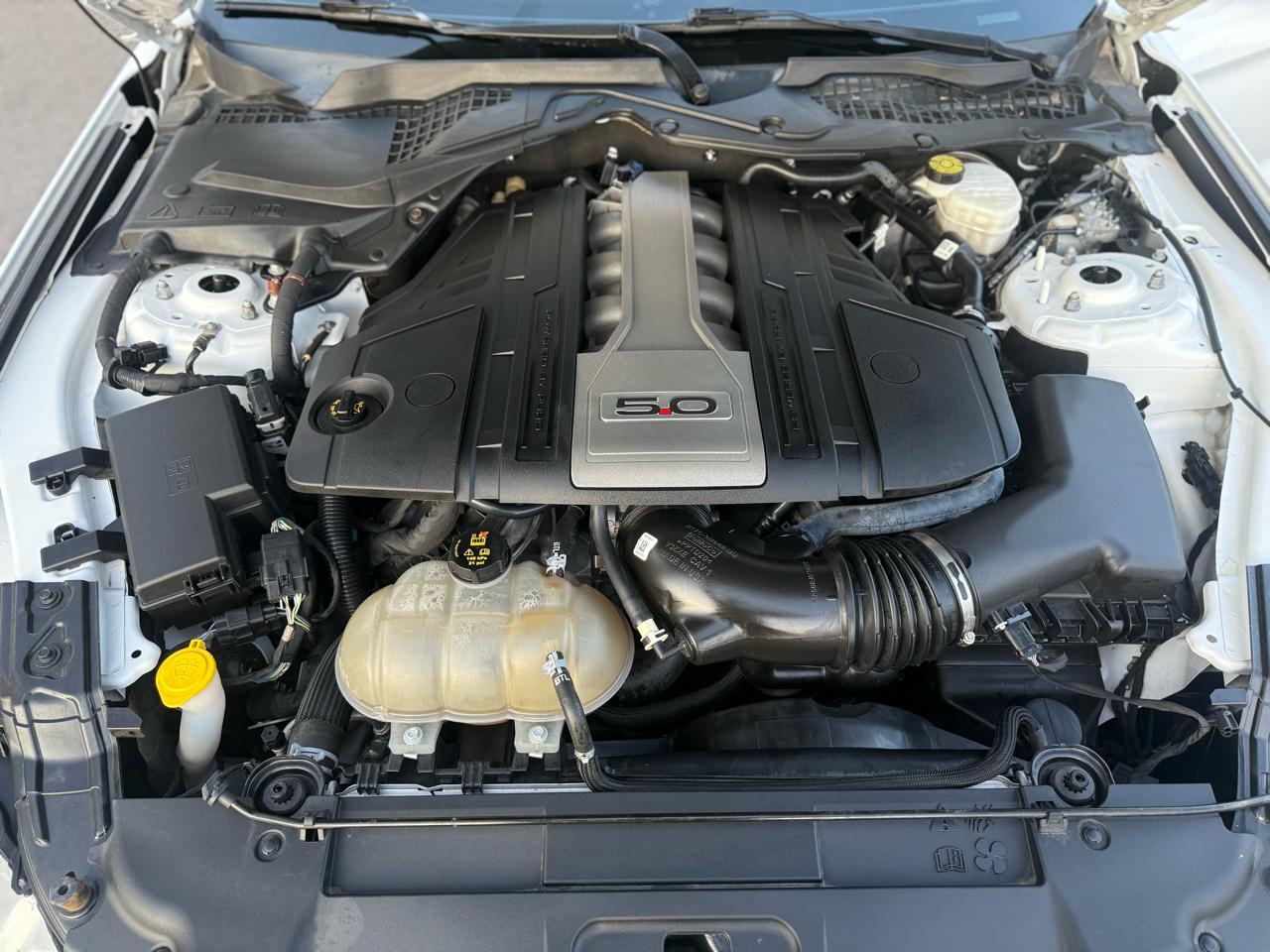 Ford Mustang GT Premium Coupe 2019