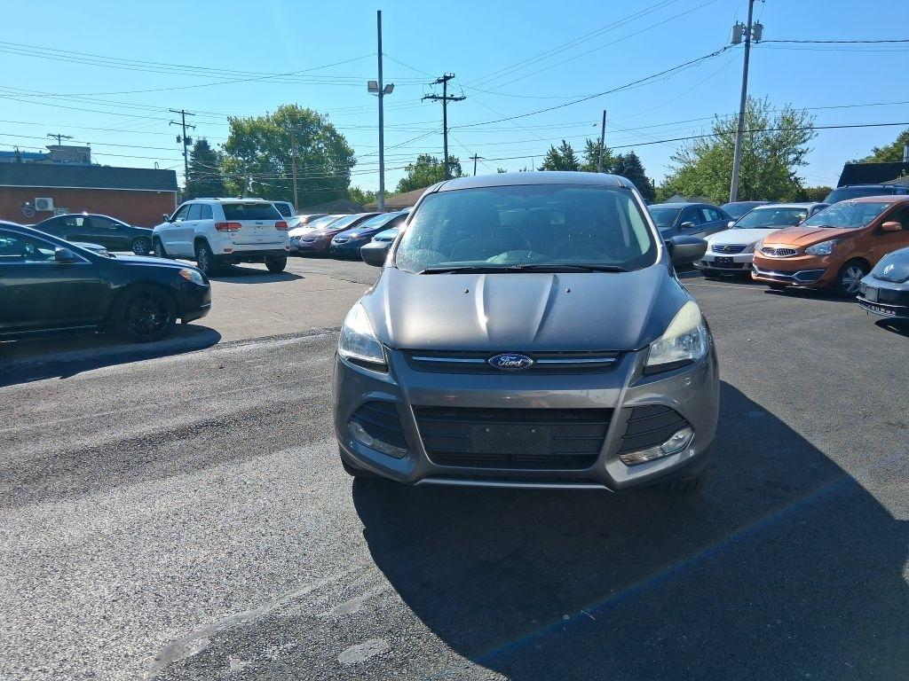 Ford Escape  2013
