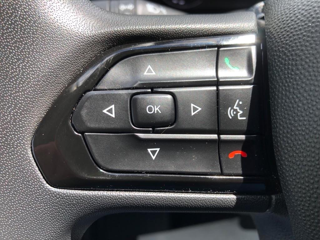 RAM Promaster  2025