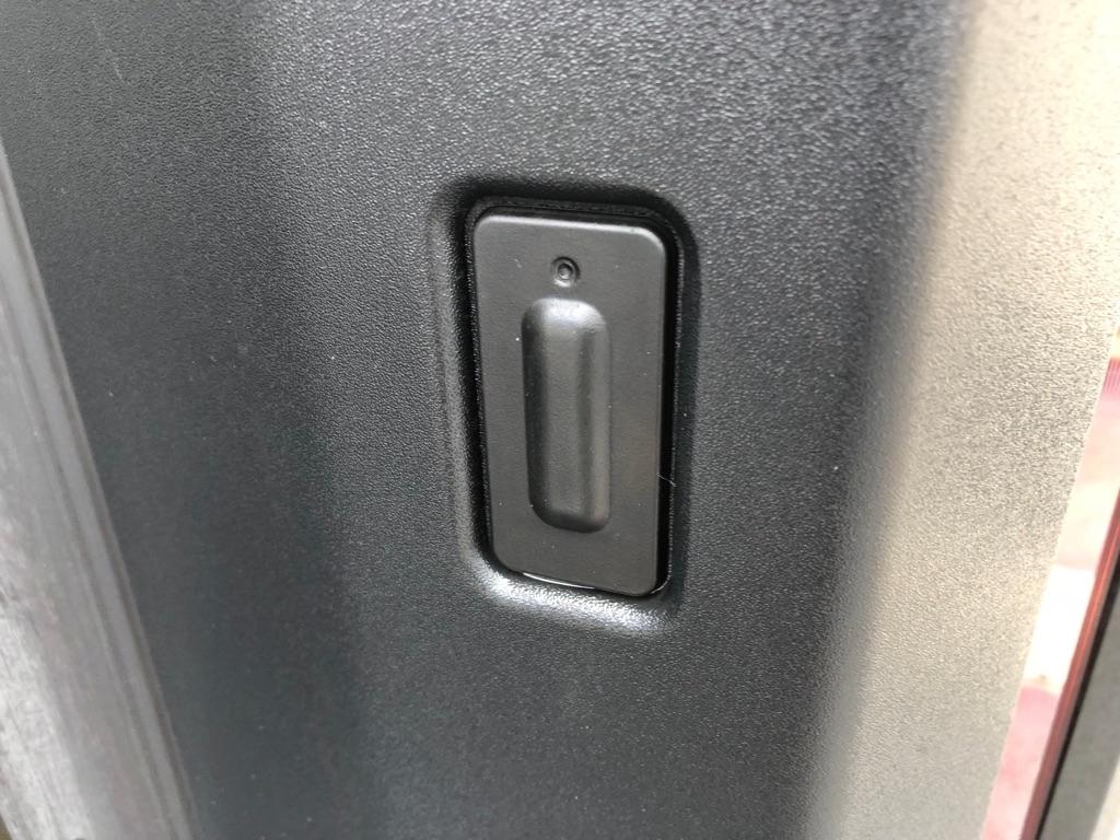 BrightDrop Zevo 600  2024