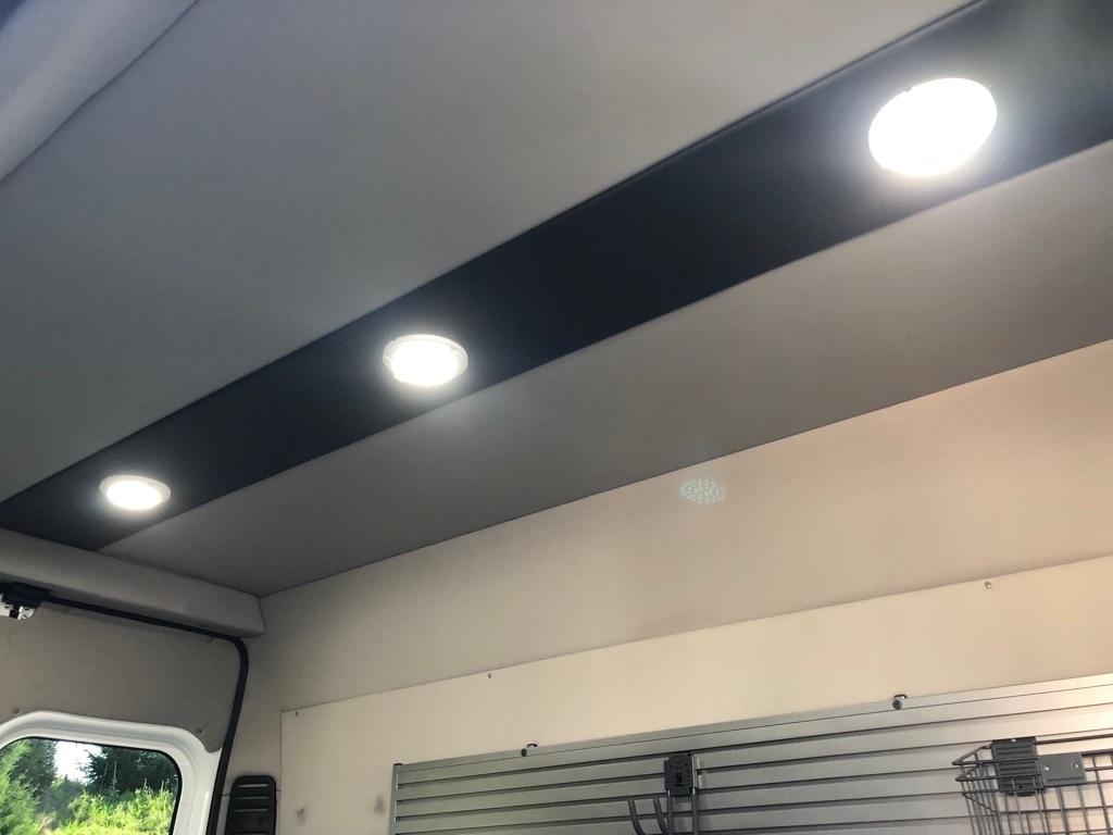 RAM Promaster  2021