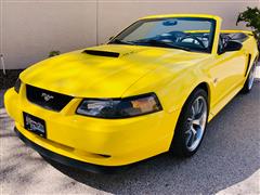 2002 Ford Mustang  2002 Ford Mustang