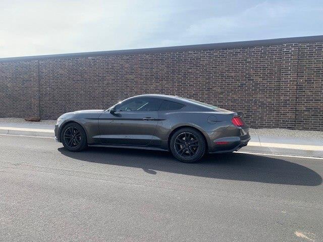 Ford Mustang EcoBoost Coupe 2016