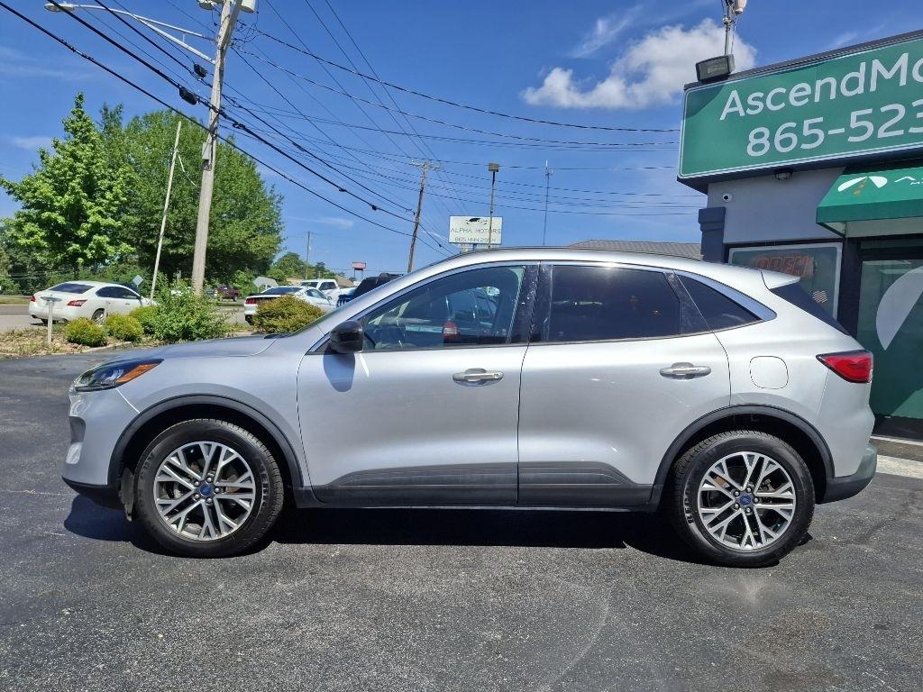 Ford Escape SEL AWD 2020