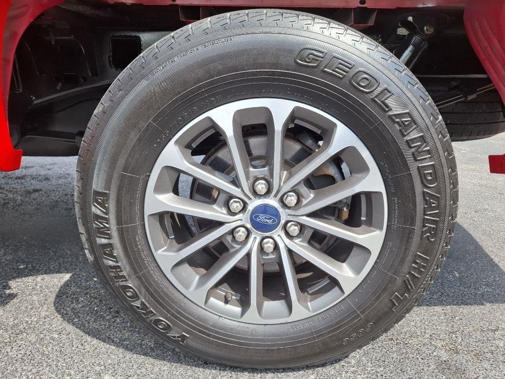 Ford F-150 XLT SuperCrew 6.5-ft. Bed 4WD 2019