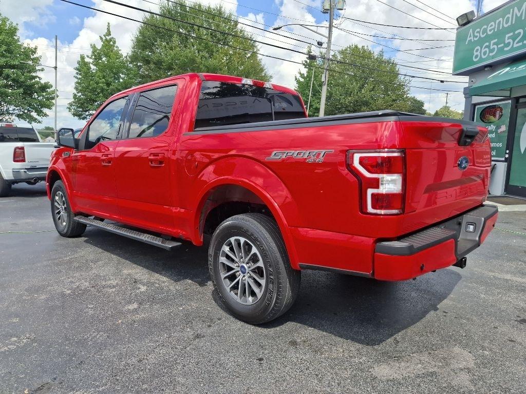 Ford F-150 XLT SuperCrew 6.5-ft. Bed 4WD 2019