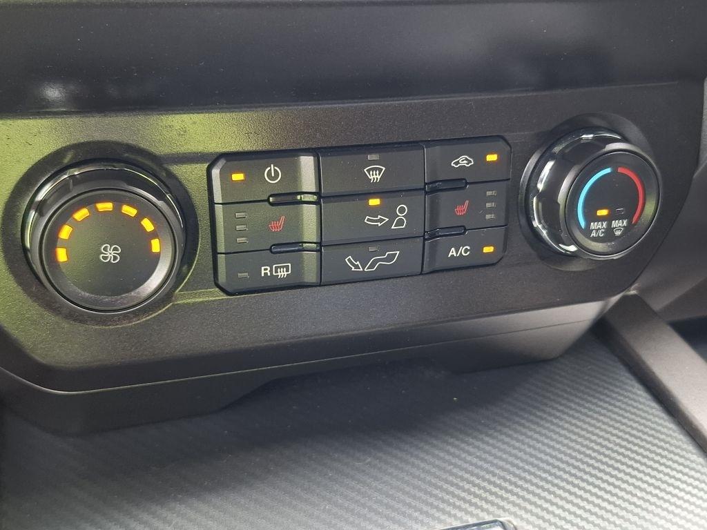 Ford F-150 XLT SuperCrew 6.5-ft. Bed 4WD 2019