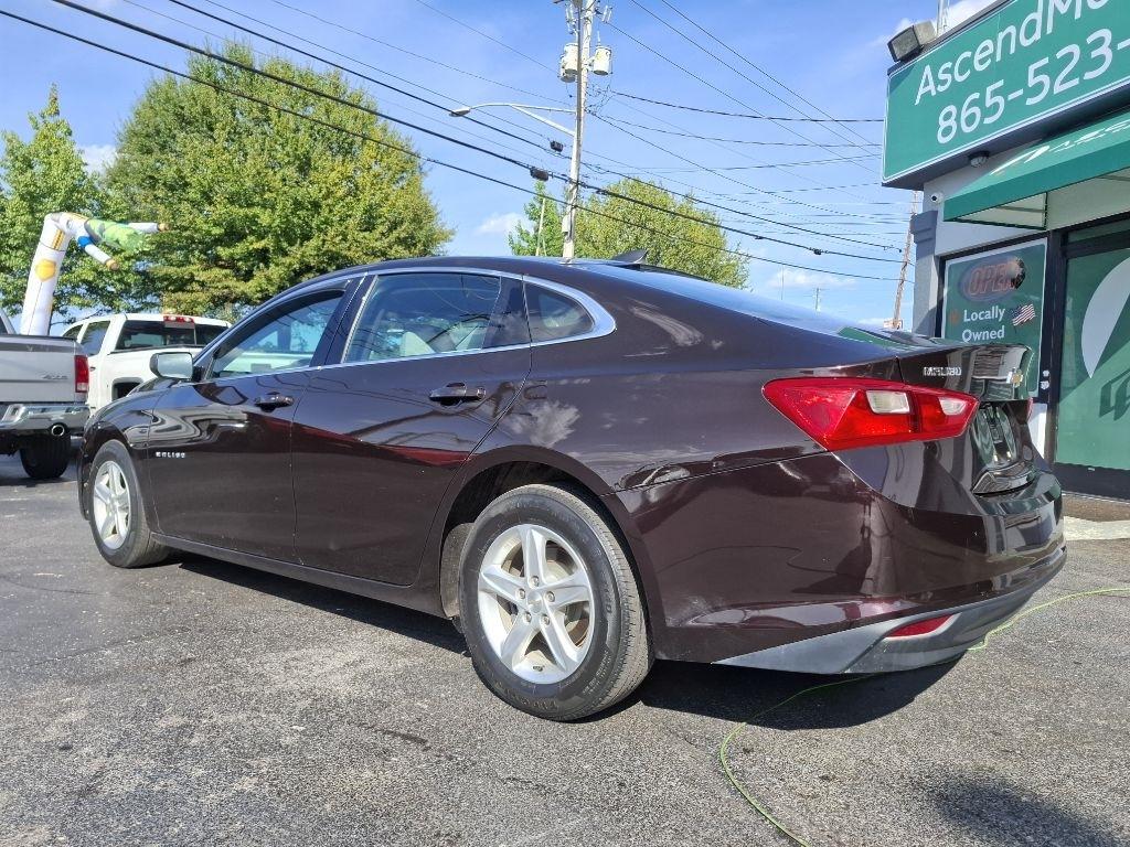 Chevrolet Malibu 1FL 2020