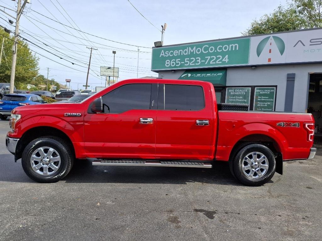 Ford F-150 XLT SuperCrew 6.5-ft. Bed 4WD 2019