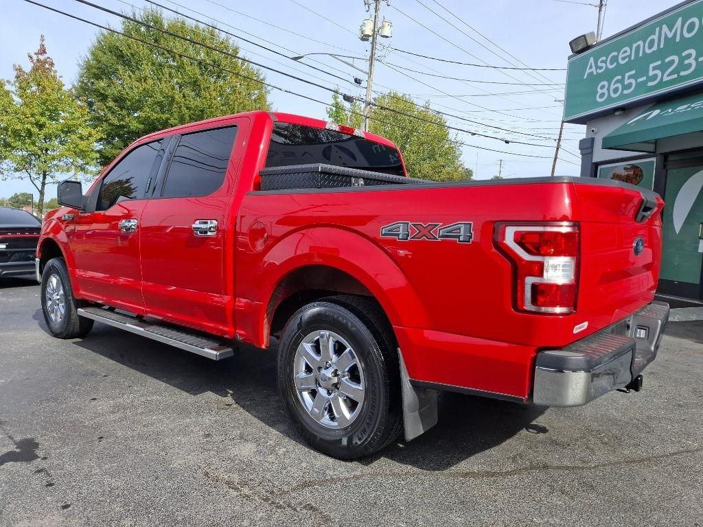 Ford F-150 XLT SuperCrew 6.5-ft. Bed 4WD 2019