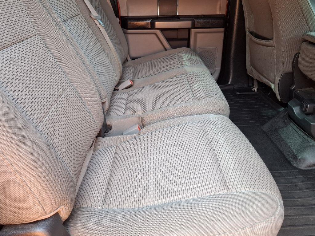 Ford F-150 XLT SuperCrew 6.5-ft. Bed 4WD 2019